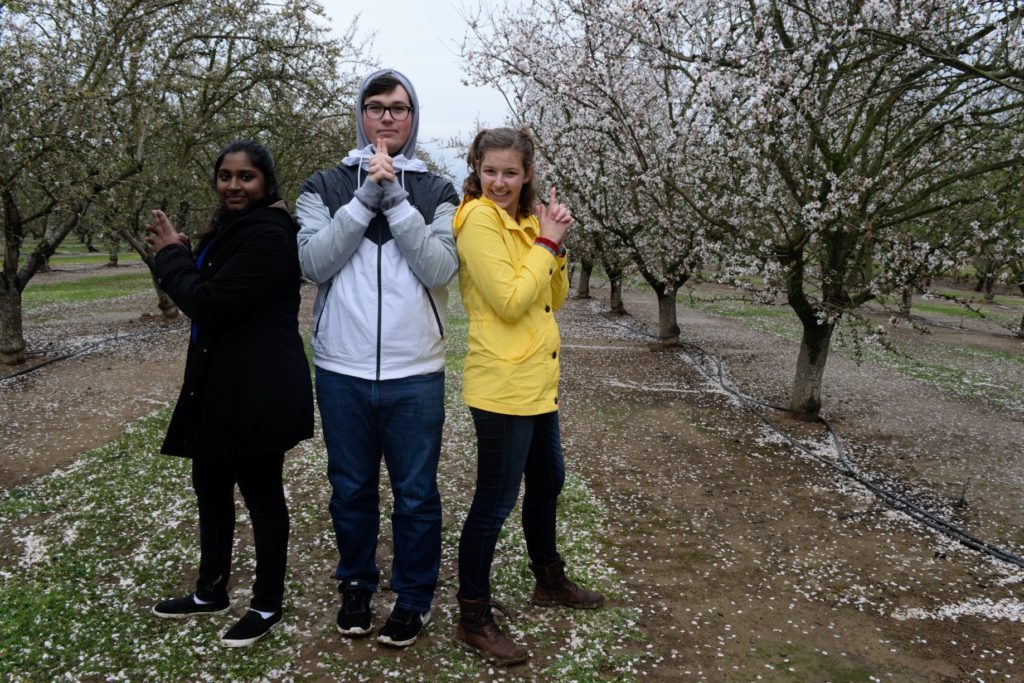 college students posing in an orchard together