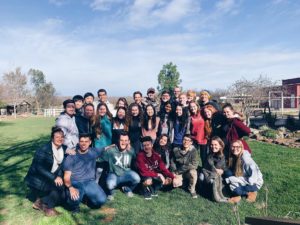 51258219_500672463795412_2103879945836888964_n