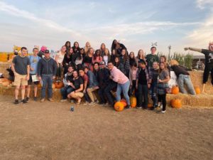 71529103_177310729985672_4221807010432893364_n